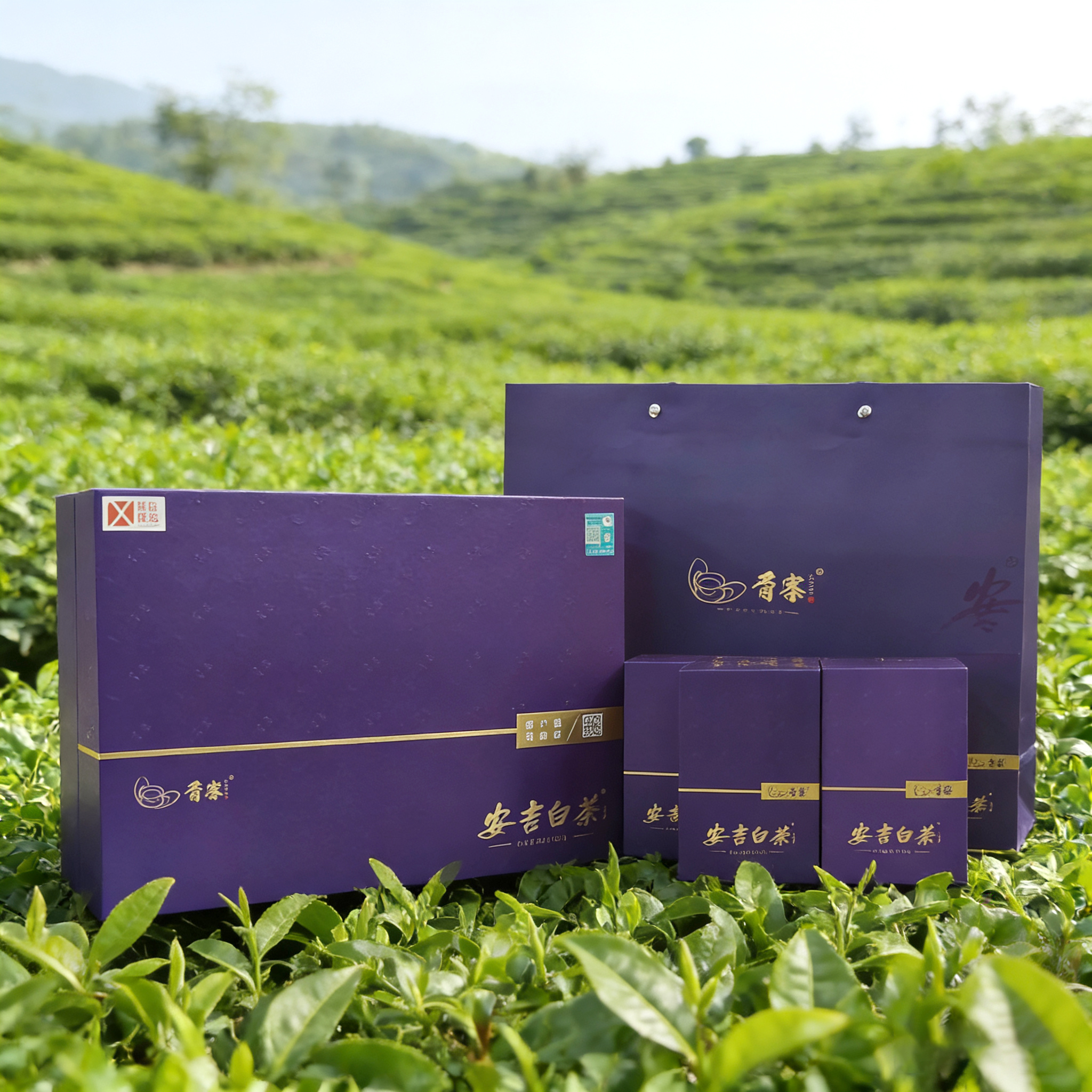 （胥）安吉白茶口粮精品茶礼盒