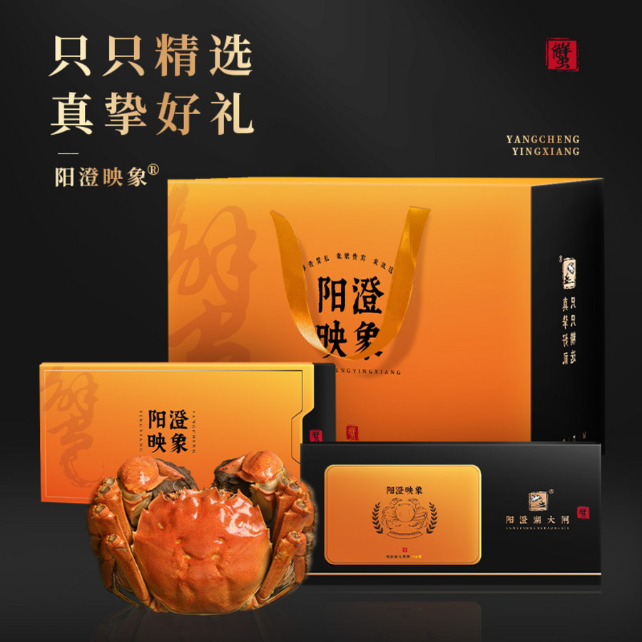 （金）阳澄映象1898型现货